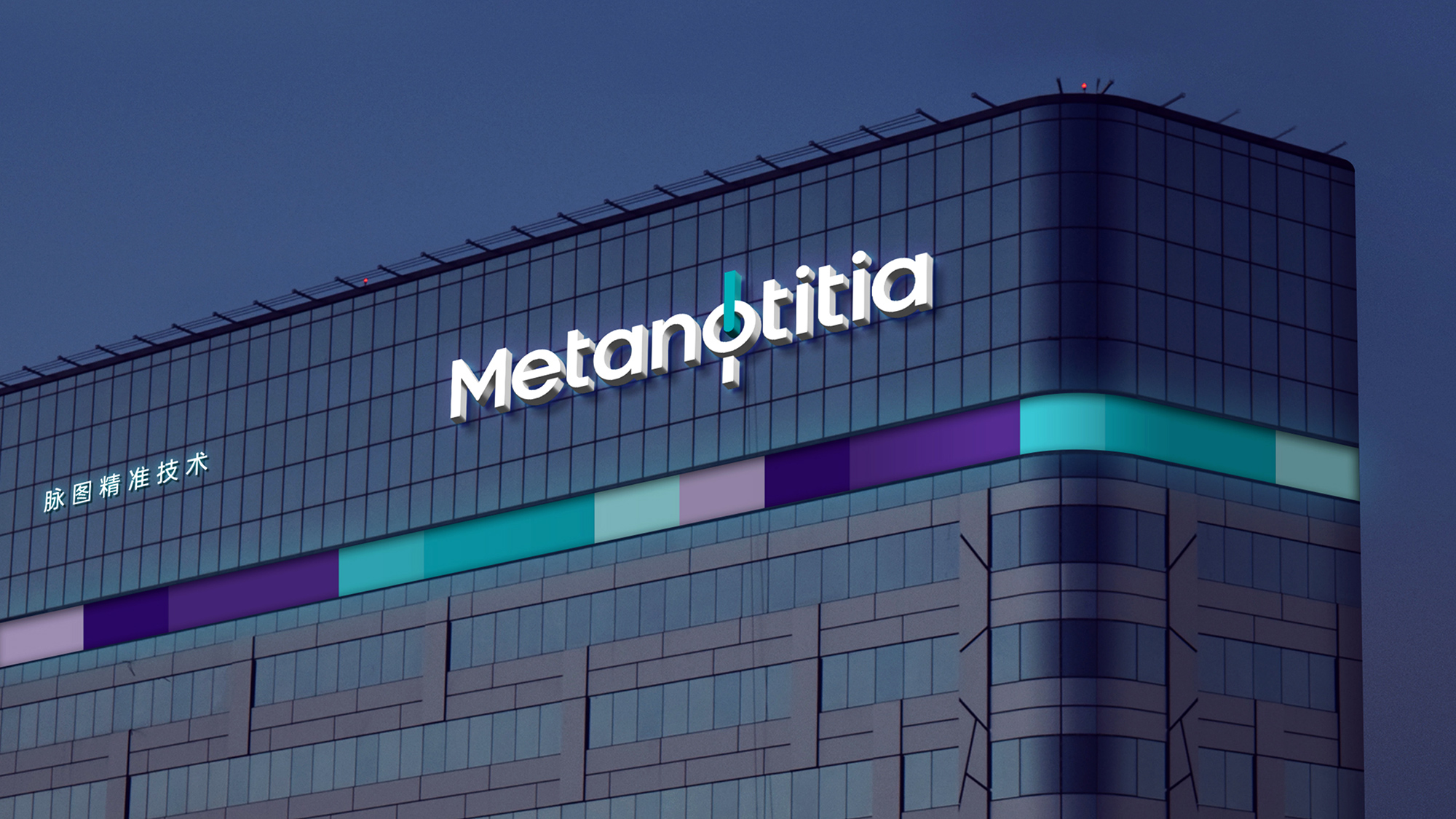 Metanotitia 脉图