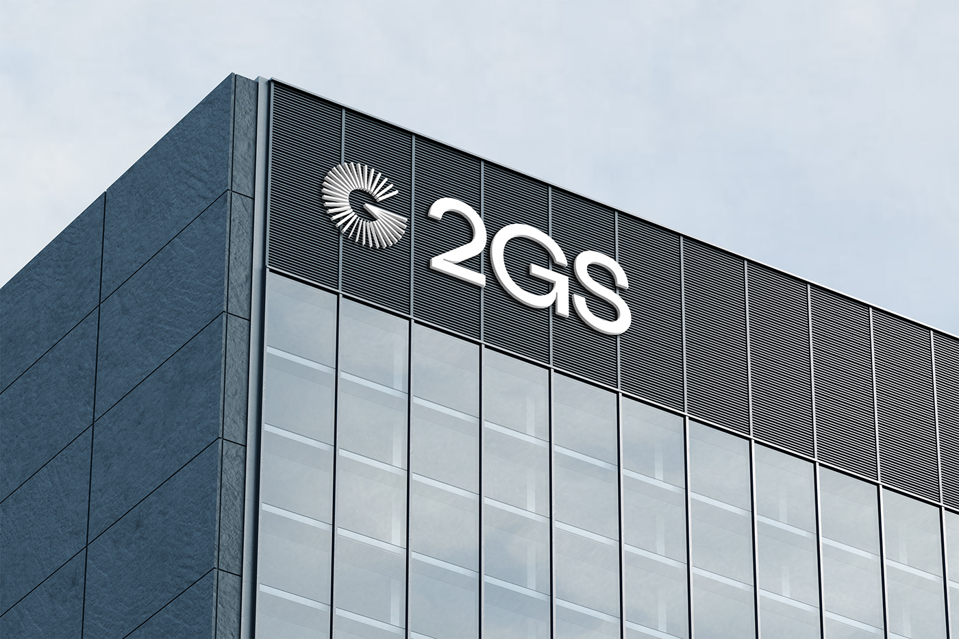 2GS 会计公司品牌LOGO应用