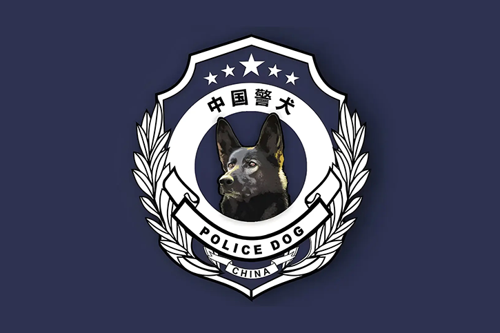 LOOG设计