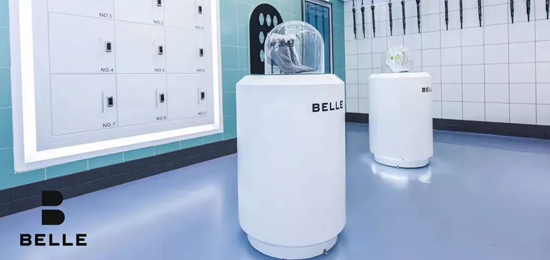 BELLE-知名女鞋品牌LOGO设计及品牌形象升级