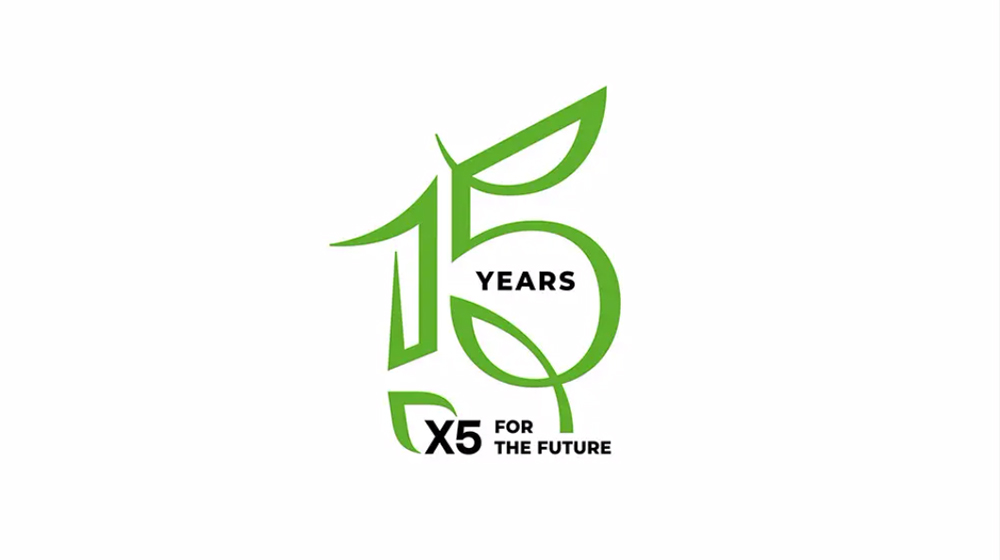 集团15周年庆LOGO设计