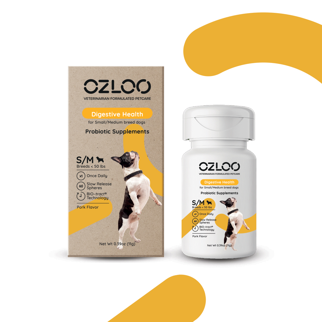 Ozloo 品牌形象