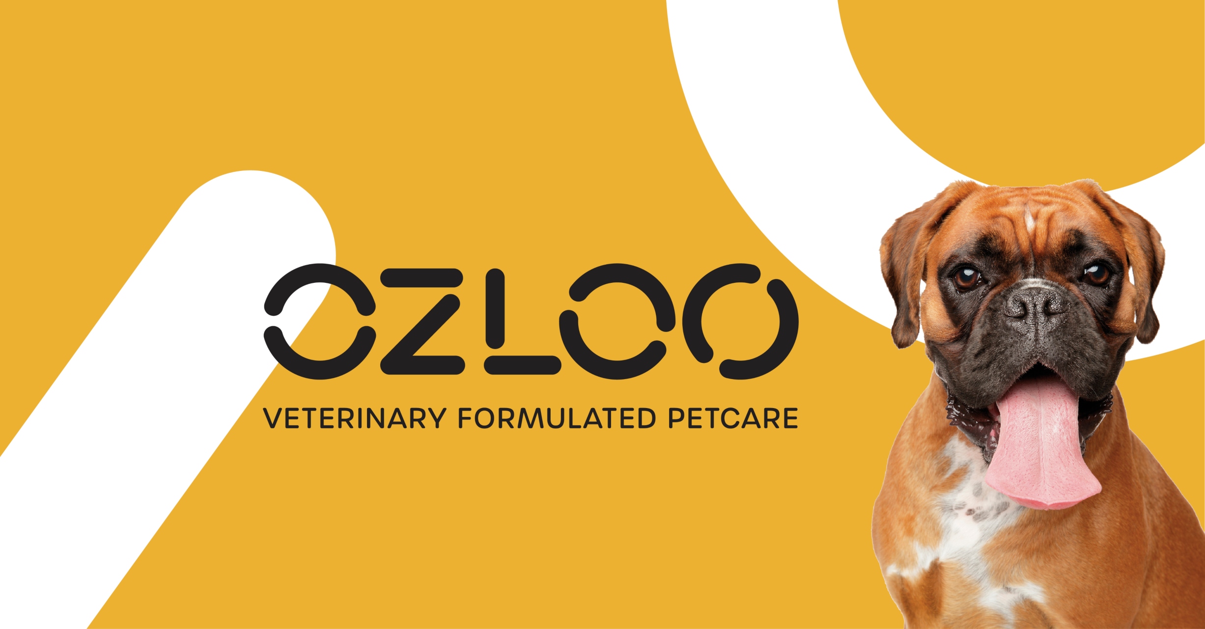 Ozloo 品牌形象