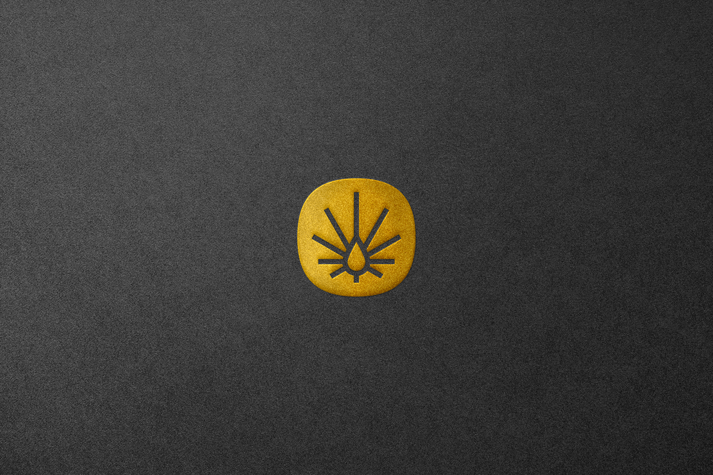 希尔顿 品牌形象