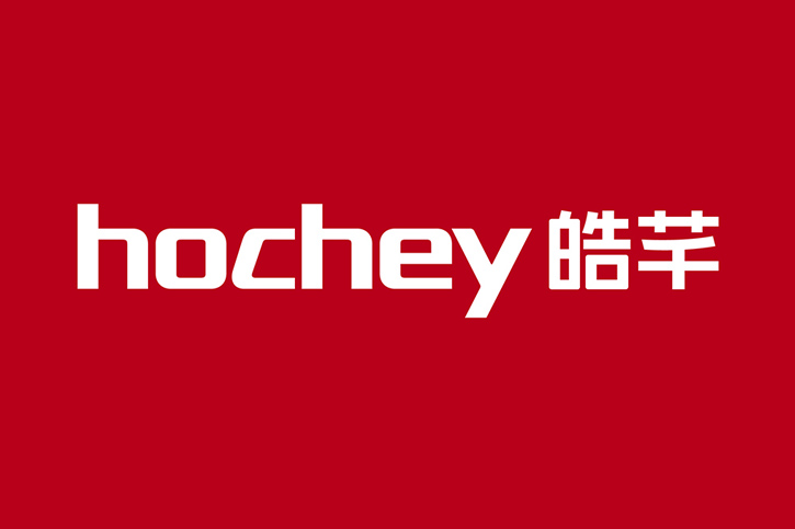 VI设计中的标志承担的关键功能有哪些？